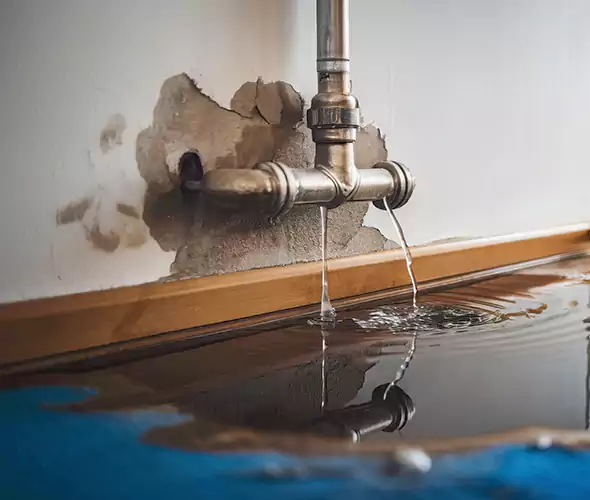 Professional Water Damage Restoration Experts in Irving, TX — Fast, Reliable & Certified