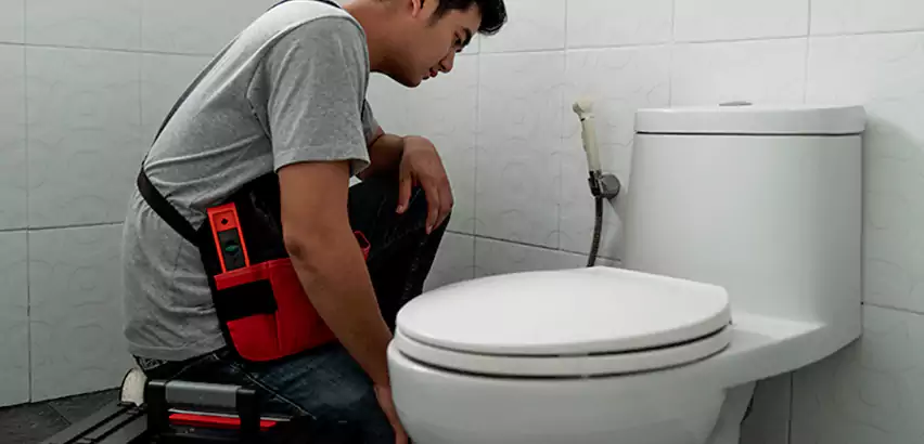 Toilet Repair in Irving