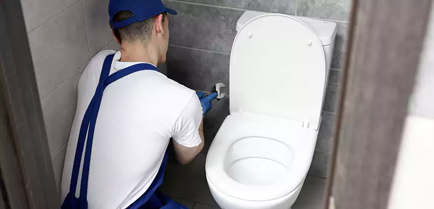 Toilet Lid Replacement in Irving