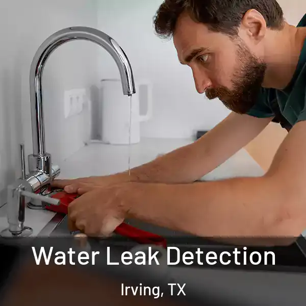  Water Leak Detection Irving, TX
